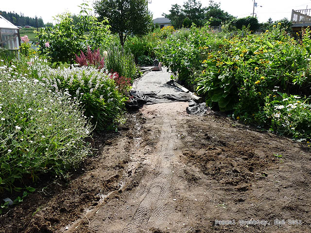 Un chemin dans un jardin - Courbe dans la conception d'alles de jardin - Jardin anglais - effet de profondeur