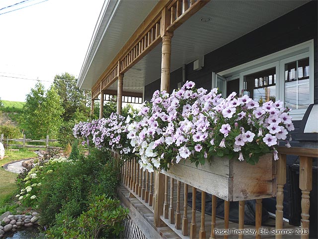 Photo de balconnire - Amnager une terrasse - Dcoration par les fleurs