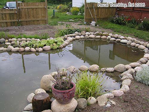 Faire un Jardin d'eau - Plan de bassin d'eau - Installer Bassin prmoul