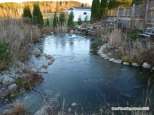 Systme antigel jardin aquatiques dglaceur - Garder Poissons hiver - Sauver ses poisson l'hiver