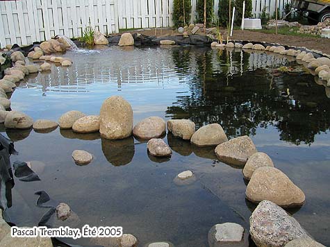 Bassin extrieur - Jardin d'eau - Amnagement paysager - Concevoir un bassin d'eau
