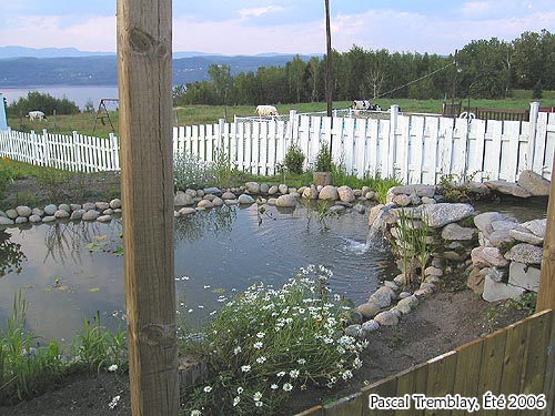 Construire jardin d'eau Plan d'amnagement - Comment russir son bassin extrieur