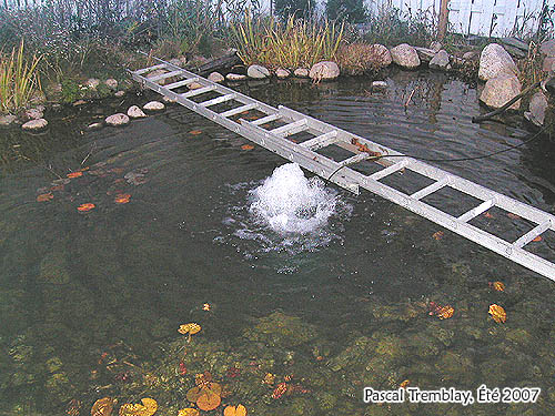 Dglaceur pour jardin aquatique - Construction tang - systme antigel bassin
