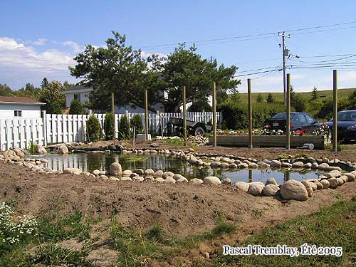 Plan Construire un bassin - Plan d'tang - Plan de Jardin d'eau - Plan Jardin aquatique