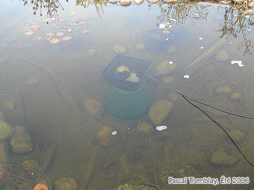 Dglaceur bassin extrieur - Systme antigel bassin extrieur - sauver ses Kos et poissons l'hiver