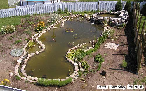 Bassin extrieur - Jardin d'eau - Jardin aquatique - Plan de construction bassin