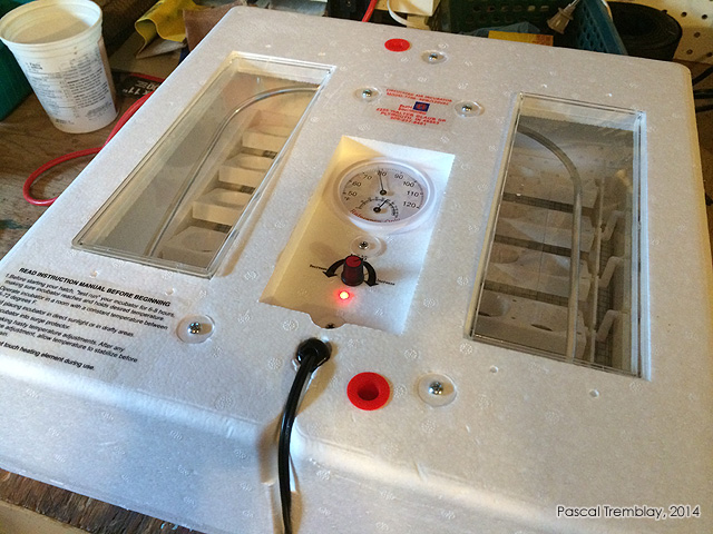 Temprature couveuse automatique - thermostat couveuse - thermostat incubateur
