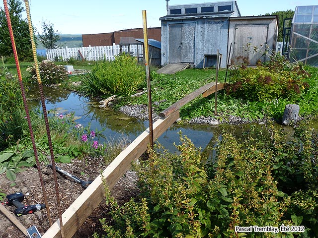 Pont pour bassin extrieur en arc en bois - Ides au jardin aquatique