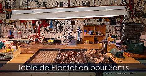 Table de Plantation pour semis sur Établi avec lampes fluorescentes de culture