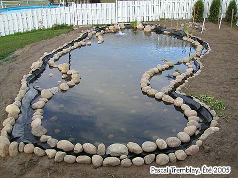 Creuser un trou pour construire un étang dans un jardin au Royaume