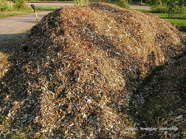 Paillis organique - Fabrication du Bois ramal fragment - Compost de broussailles - Copeaux de bois