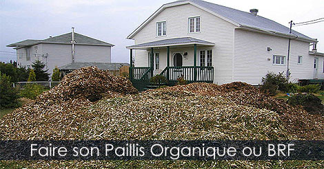 Paillis organique - Comment fabriquer son paillis organique ou bois ramal fragment - Paillis dcoratif organique